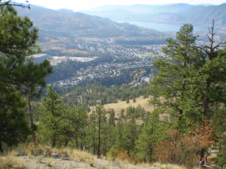 Looking south east from south end of Campbell Mountain, Campbell Mountain 2009-10.
